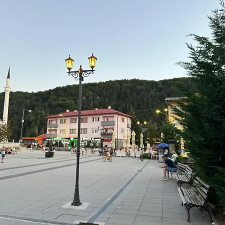 Dokic Vlasenica